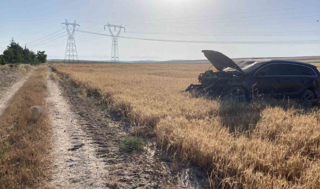 Afyonkarahisar’da kontrolden çıkarak şarampole giren otomobilde ikisi çocuk aynı aileden