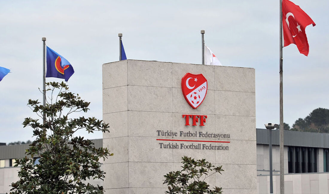 Türkiye Futbol Federasyonu (TFF), 2024 Avrupa Futbol Şampiyonası (EURO 2024)