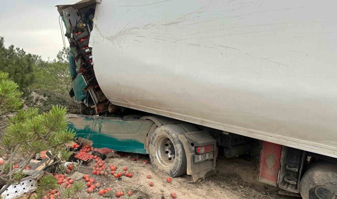 Afyonkarahisar’da domates yüklü tır ile kamyonetin çarpıştığı kazada 2 kişi