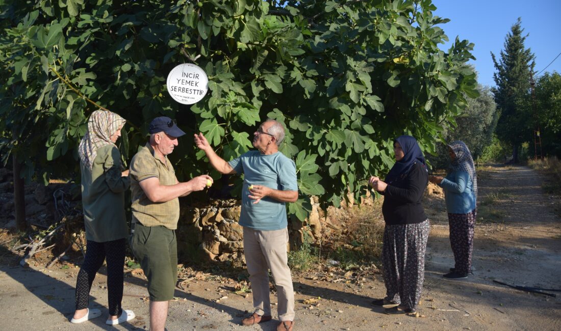  Antalya’nın Aksu ilçesi Hacıaliler Mahallesi’nde ikamet eden emekli eğitimci Erol