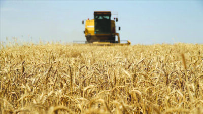 Tarım ve Orman Bakanlığı, 119 milyon 106 bin liralık destekleme