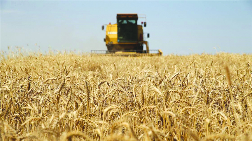 Tarım ve Orman Bakanlığı, 119 milyon 106 bin liralık destekleme