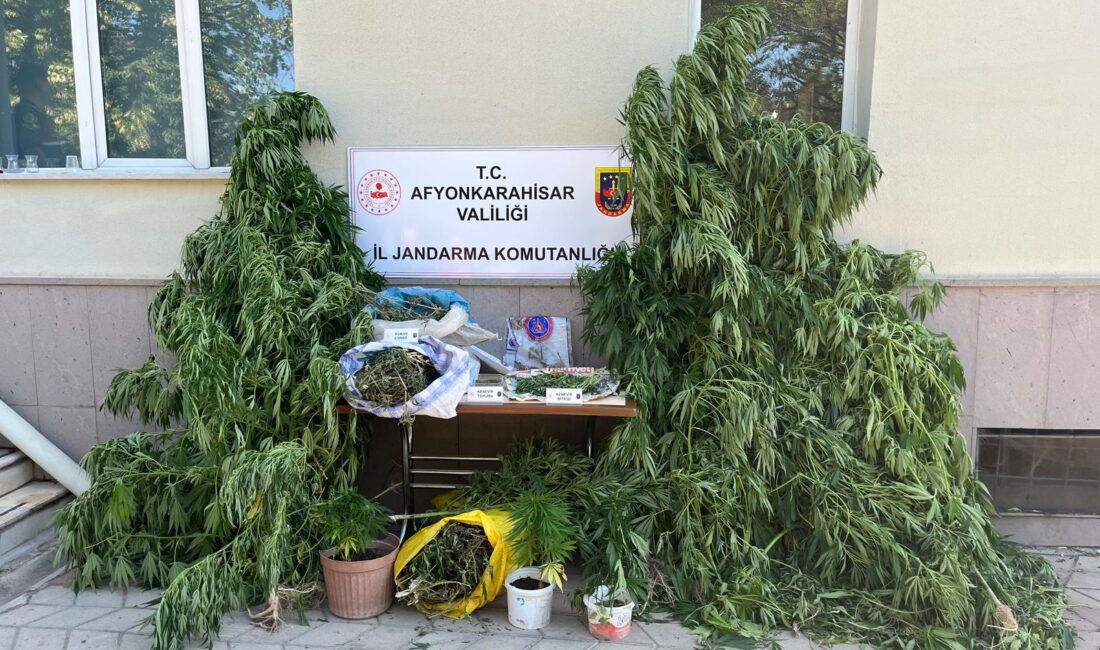 İl Jandarma Komutanlığınca uyuşturucu ile mücadele Afyonkarahisar İl Jandarma Komutanlığınca uyuşturucu ile mücadele kapsamında yapılan çalışmalar