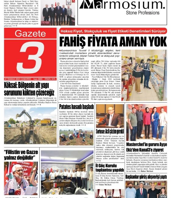 Türkiye İstatistik Kurumu resmi ilan ve reklam yayımlayan gazetelerin sayısı