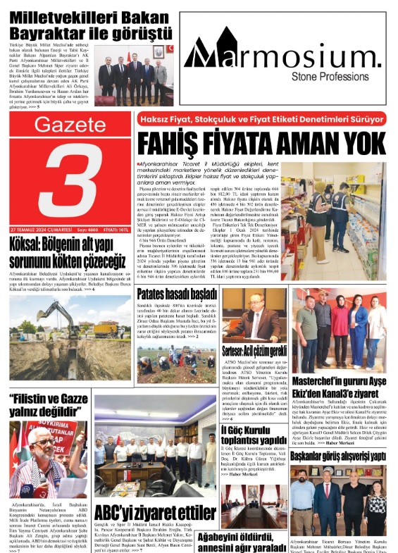 Türkiye İstatistik Kurumu resmi ilan ve reklam yayımlayan gazetelerin sayısı