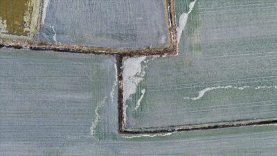 Türkiye’de devlet destekli tarım sigortaları kapsamında 2019-2023 döneminde toplamda 15,5