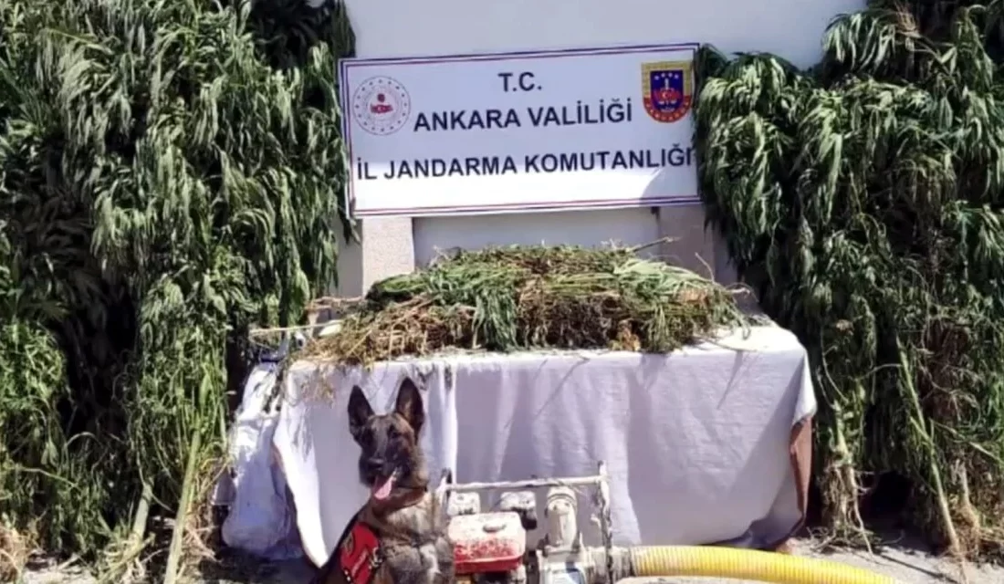 İçişleri Bakanı Ali Yerlikaya, 12 ilde düzenlenen ‘Narkoçelik-26’ operasyonlarında 57