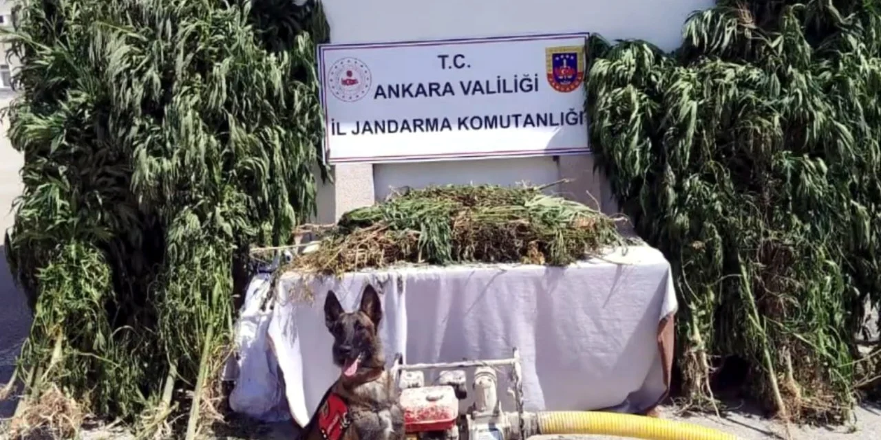 İçişleri Bakanı Ali Yerlikaya, 12 ilde düzenlenen ‘Narkoçelik-26’ operasyonlarında 57