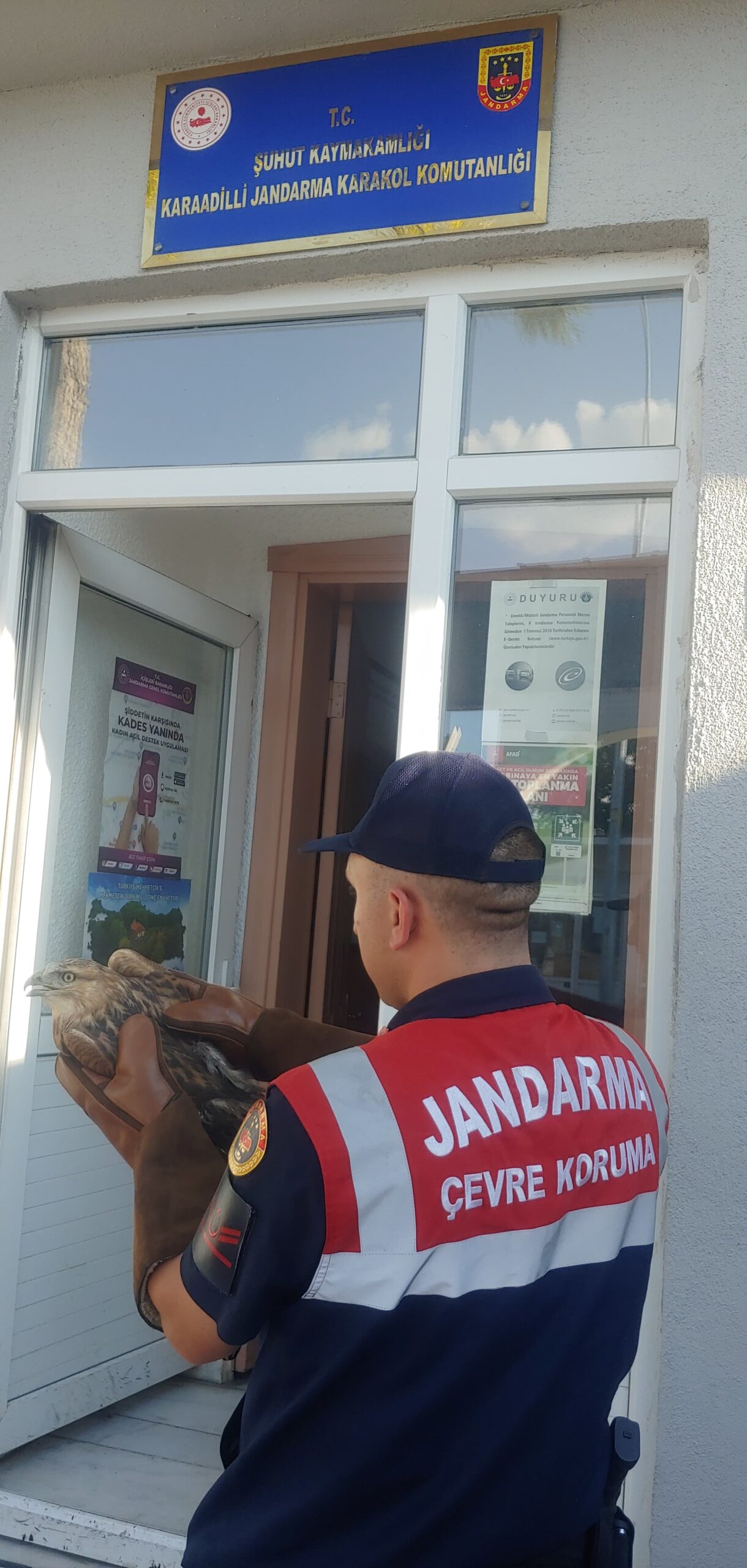 Afyonkarahisar’da jandarma ekipleri tarafından yaralı halde bulunan kızıl şahin koruma
