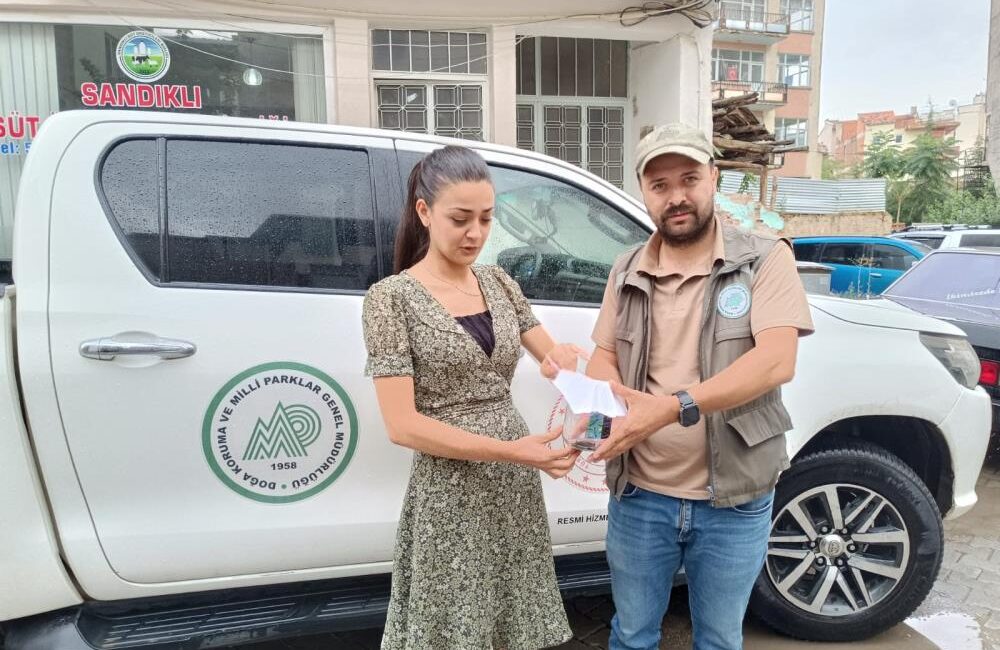 Afyonkarahisar’da bir avukatın işyeri önünde bulduğu cüce yarasa tedavi edilmek