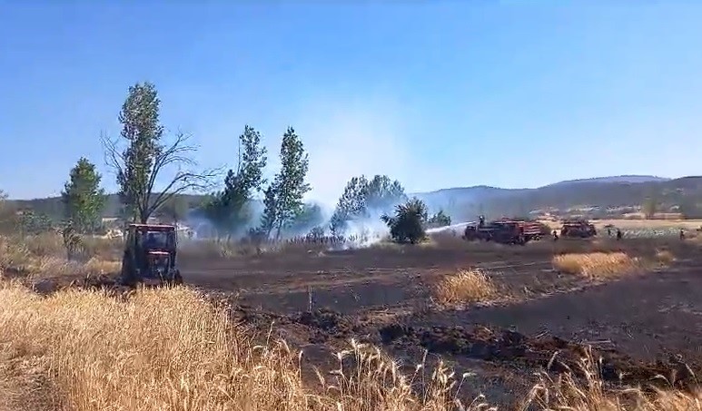  Kütahya’nın Tavşanlı ilçesinde ekili alanda çıkan yangın, vatandaşlar, Tavşanlı Belediyesi