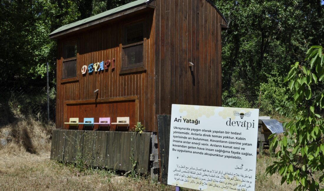 Bursa’da bir tıbbi aromatik bahçede yer alan terapi yöntemi, yerli