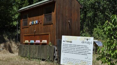 Bursa’da bir tıbbi aromatik bahçede yer alan terapi yöntemi, yerli