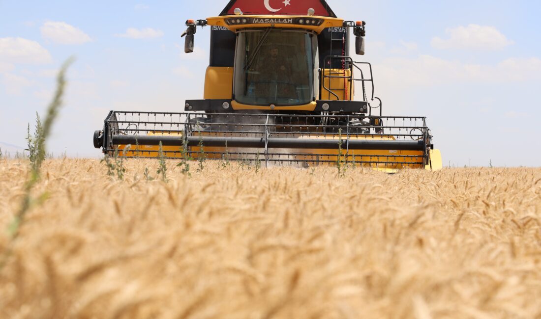 Türkiye’nin tahıl ambarı olarak bilinen Konya Ovası kurak bir sezonu