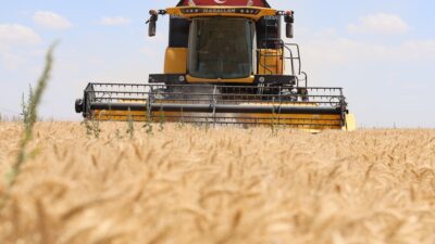 Türkiye’nin tahıl ambarı olarak bilinen Konya Ovası kurak bir sezonu