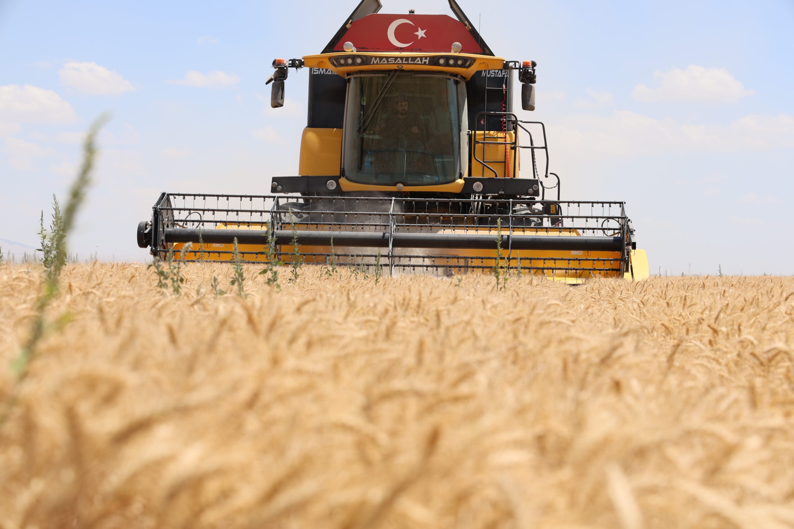 Toprak Mahsulleri Ofisi (TMO) Genel Müdürlüğü, 14 Mayıs’tan bugüne kadar