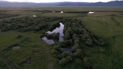 Geniş mera ve ovalara sahip Ardahan’da, akan menderesler yaz aylarında