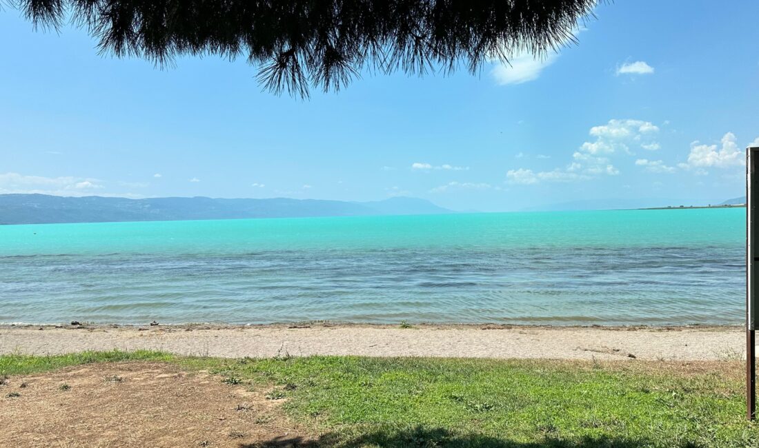 Bursa’da hava sıcaklarının artması sebebiyle meydana gelen plankton patlaması sonrası