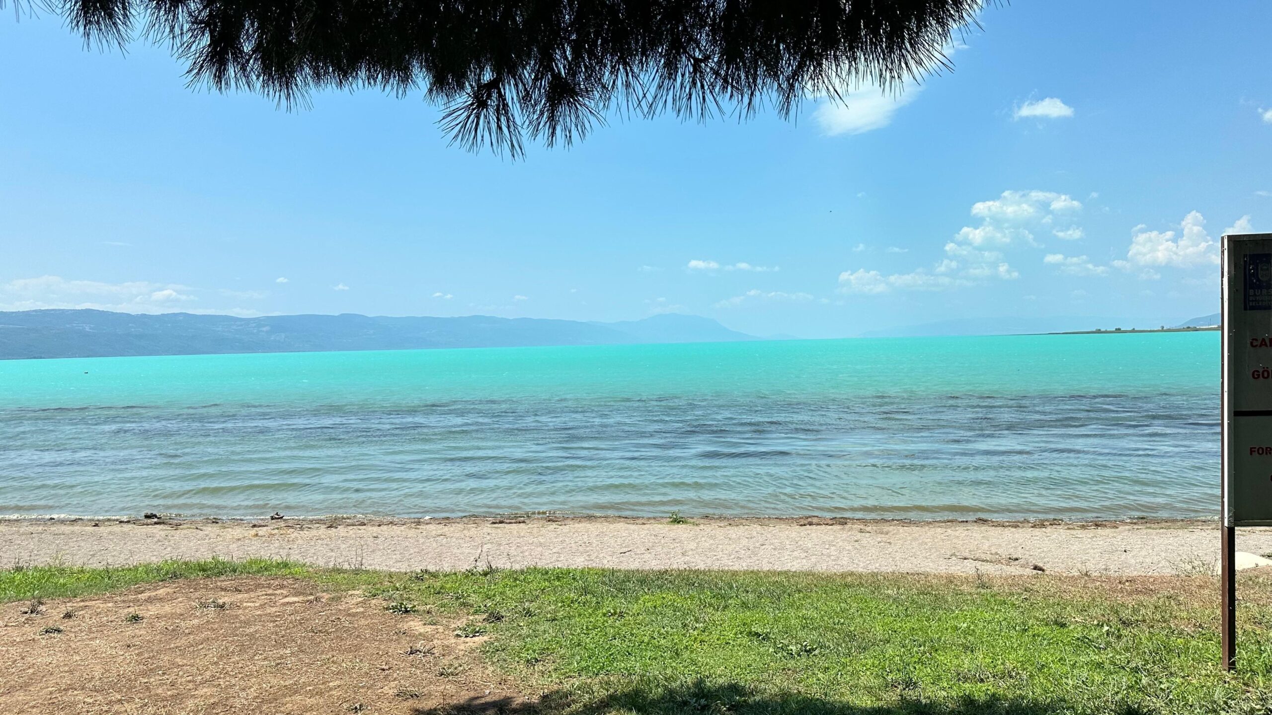Bursa’da hava sıcaklarının artması sebebiyle meydana gelen plankton patlaması sonrası