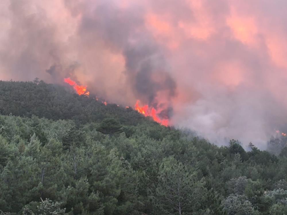 Yangın, Uşak’ın Banaz ilçesinde meydana geldi. Edinilen bilgilere göre, Kızılcaören