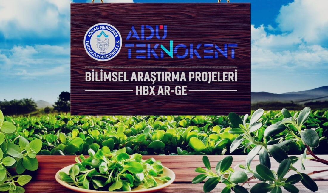 Aydın Adnan Menderes Üniversitesi (ADÜ) Teknokent’te faaliyetlerini sürdüren ve yaklaşık