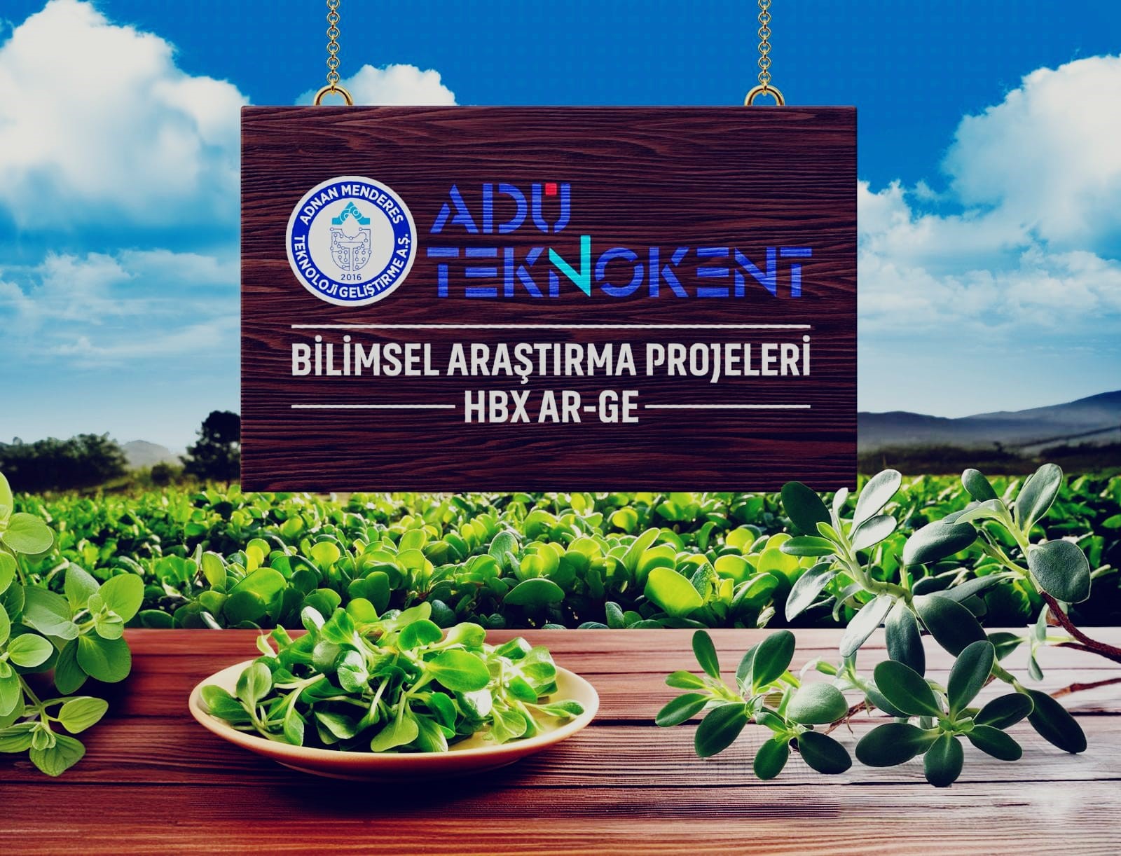 Aydın Adnan Menderes Üniversitesi (ADÜ) Teknokent’te faaliyetlerini sürdüren ve yaklaşık