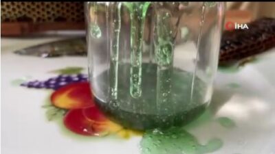 Sakarya’nın Serdivan ilçesinde arıcılıkla uğraşan vatandaşın kovanlarından birinde tespit ettiği