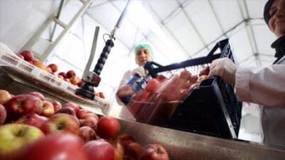   Ticaret Bakanı Ömer Bolat, “Kooperatifler, mal alımlarında 400 bin