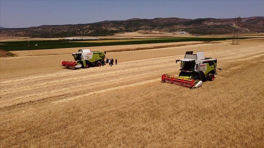 Toprak Mahsulleri Ofisi (TMO) Genel Müdürlüğü, 14 Mayıs’tan bugüne kadar
