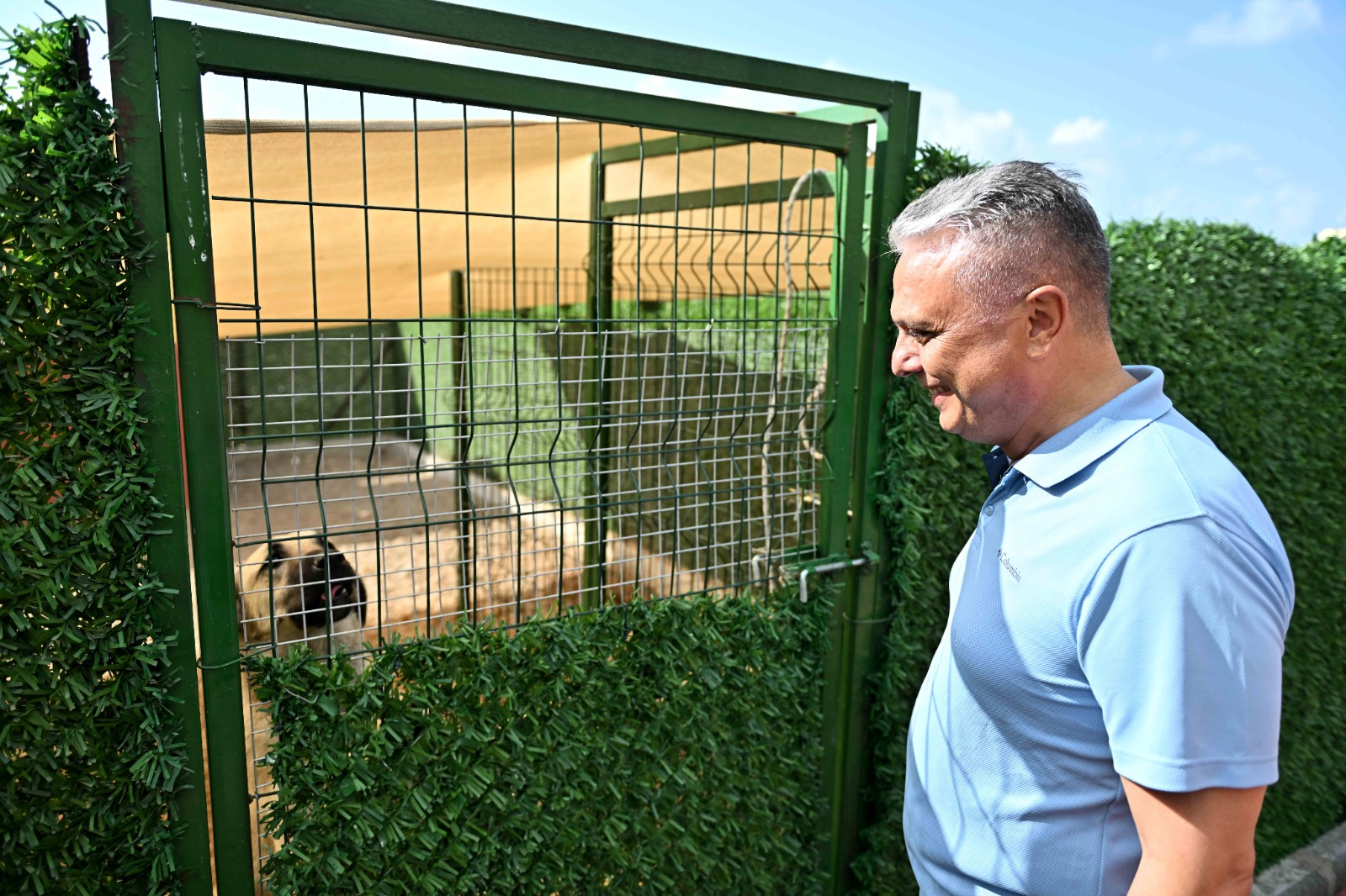 Antalya’da belediyenin sokak hayvanları geçici bakımevi ve rehabilitasyon merkezinin yeni