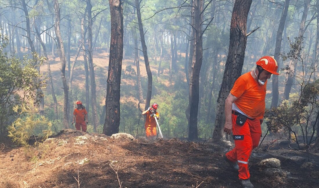Antalya’nın Aksu ilçesinde Alaylı Mahallesi’ndeki ormanlık alanda çıkan yangın ekiplerin
