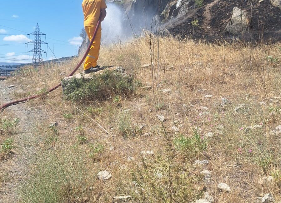 Afyonkarahisar’ın Sinanpaşa ilçesine bağlı Balmahmut Köyü’nde yapılan ağaçlandırma çalışmaları sırasında
