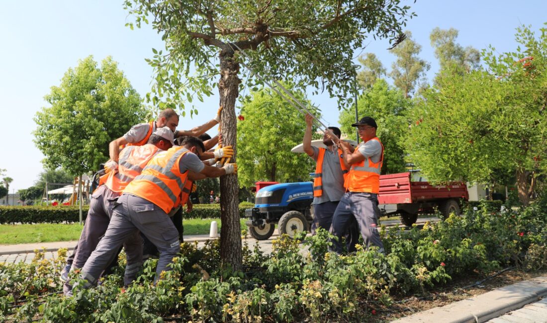   Antalya Büyükşehir Belediyesi, kuvvetli fırtına ve yağışın neden olduğu