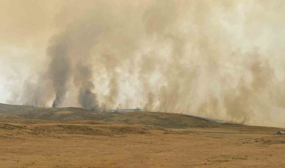 ABD’nin Oregon eyaletinde 24, California eyaletinde 12 büyük orman yangınına