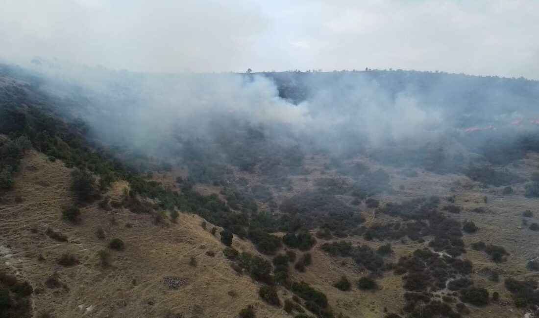 Afyonkarahisar’ın Şuhut ilçesinde ot ve çalıların bulunduğu alanda yangın çıktı.