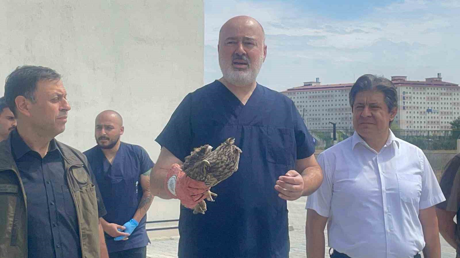 Afyonkarahisar’da tedavileri tamamlanan 45 kerkenez, 14 kulaklı orman baykuşu ve