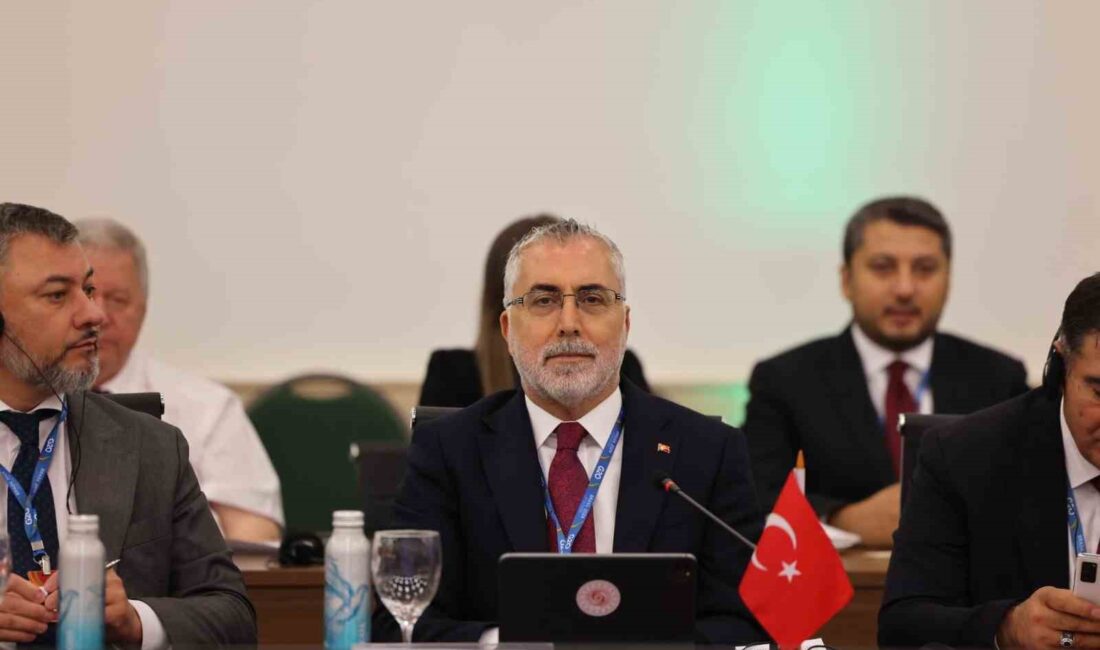 Çalışma ve Sosyal Güvenlik Bakanı Vedat Işıkhan, G20 Çalışma ve