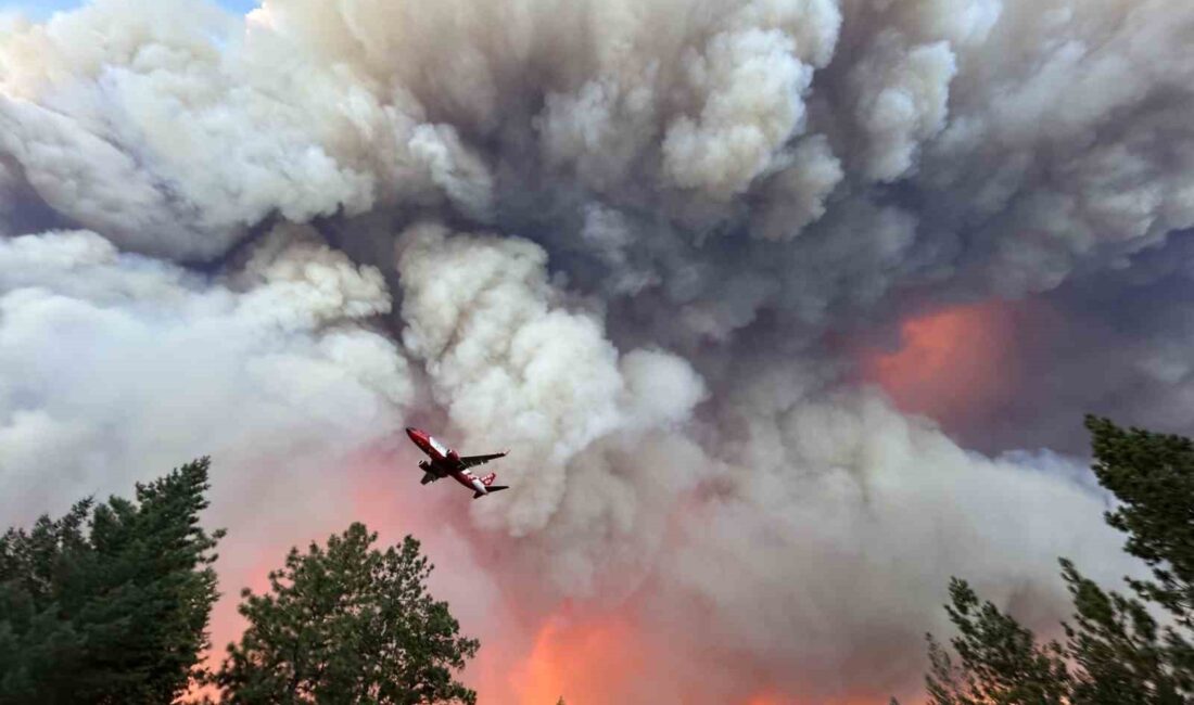 ABD’nin California eyaletinin en büyük orman yangını, 145 bin 172
