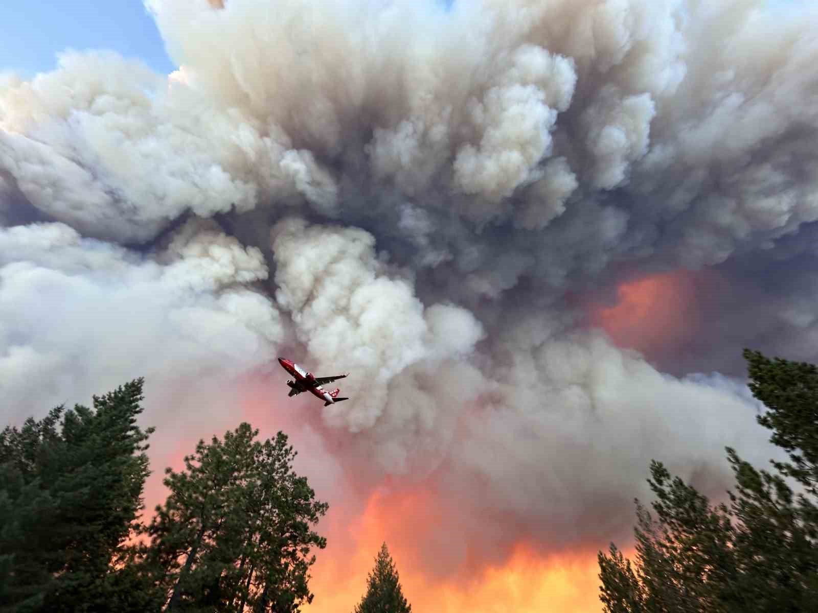 ABD’nin California eyaletinin en büyük orman yangını, 145 bin 172