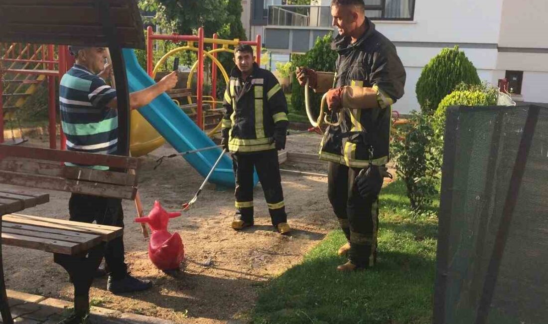 Afyonkarahisar’da bir sitenin bahçesindeki çocuk oyun alanında görülen yılan büyük