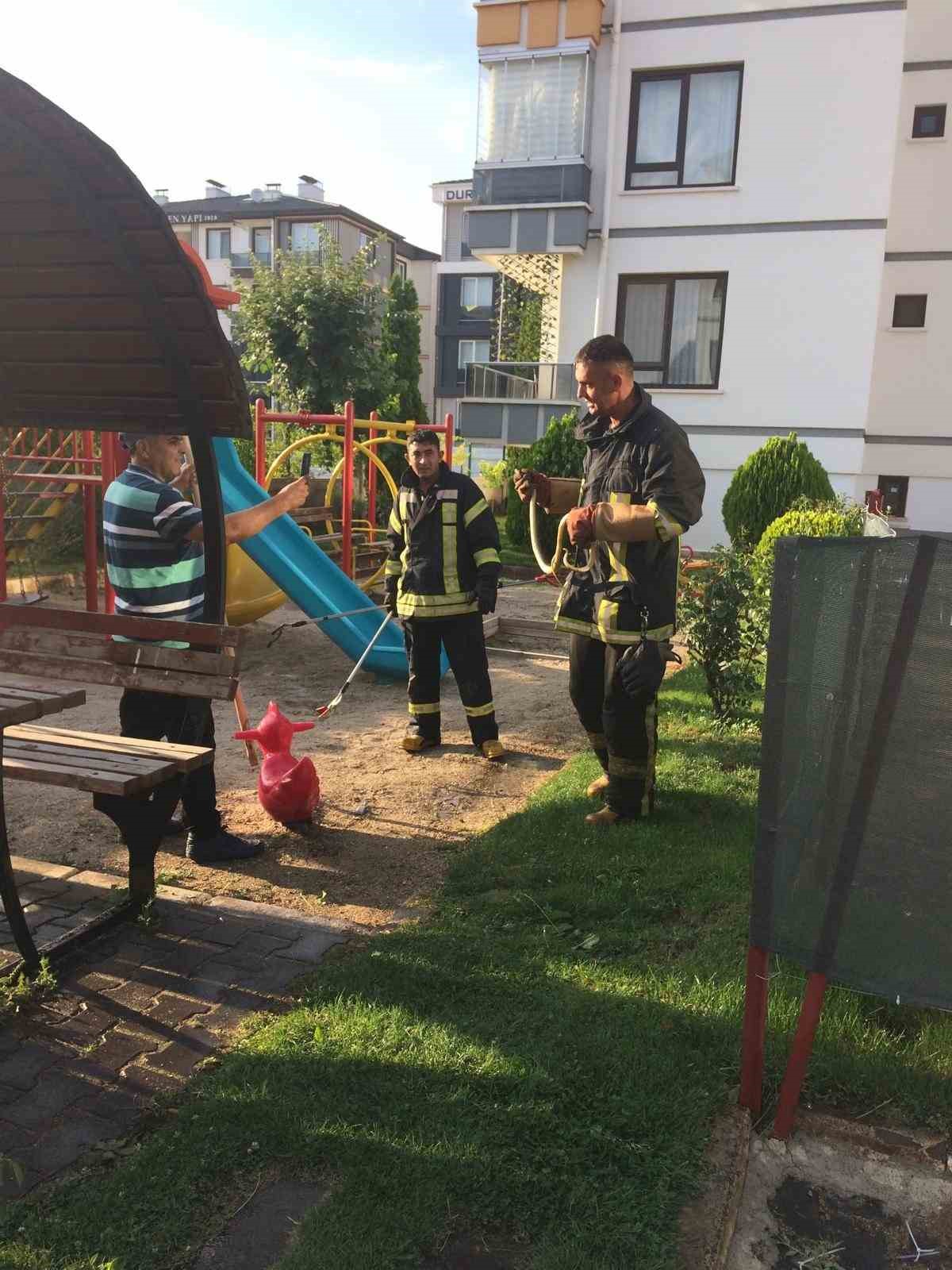 Afyonkarahisar’da bir sitenin bahçesindeki çocuk oyun alanında görülen yılan büyük