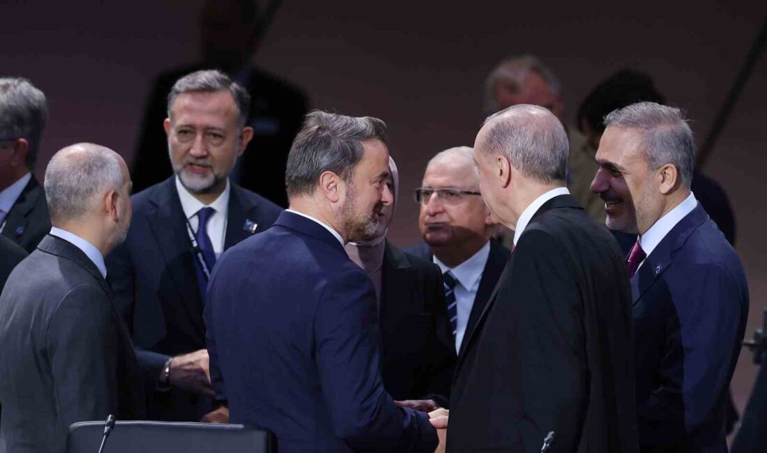 Cumhurbaşkanı Recep Tayyip Erdoğan, NATO Devlet ve Hükümet Başkanları Zirvesi