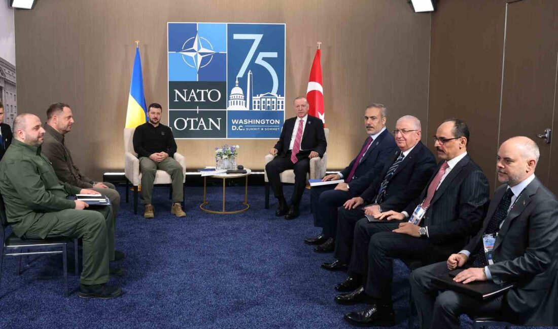 Cumhurbaşkanı Recep Tayyip Erdoğan, NATO Devlet ve Hükümet Başkanları Zirvesi