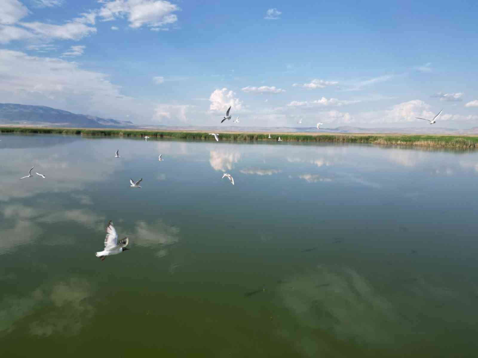 Türkiye’nin en büyük göllerinden birisi olan Eber Gölü’nde su seviyesinin