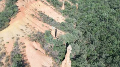 Afyonkarahisar’ın Bolvadin ilçesinde doğa gezisine çıkan bir vatandaş ormanlık alanda