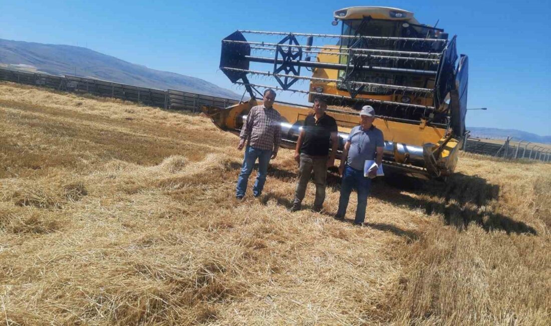 Afyonkarahisar’ın Sandıklı ilçesinde hububat hasadı arpa hasadı ile başladı. Sandıklı