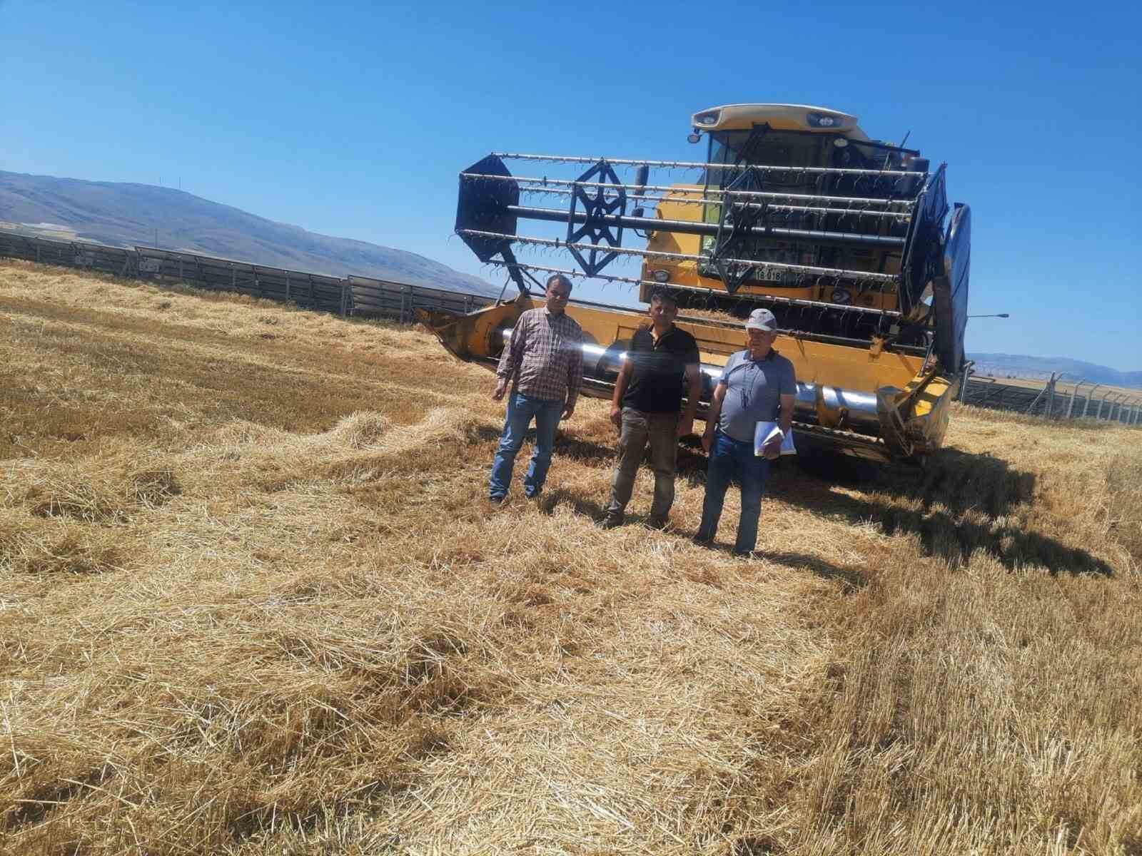 Afyonkarahisar’ın Sandıklı ilçesinde hububat hasadı arpa hasadı ile başladı. Sandıklı