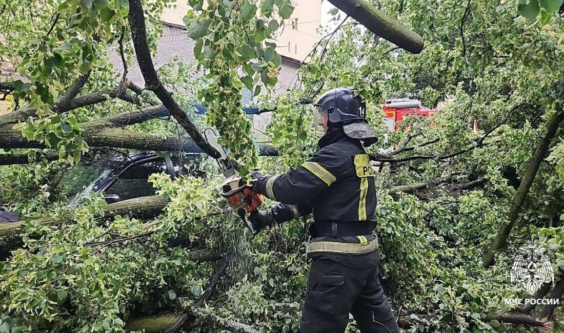 Rusya’nın St. Petersburg kentinde etkili olan fırtınada 1 kişi hayatını