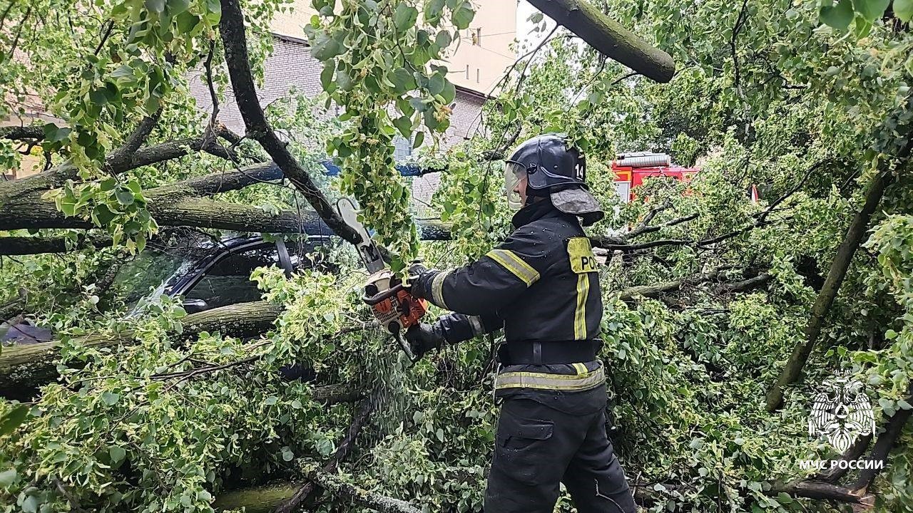 Rusya’nın St. Petersburg kentinde etkili olan fırtınada 1 kişi hayatını