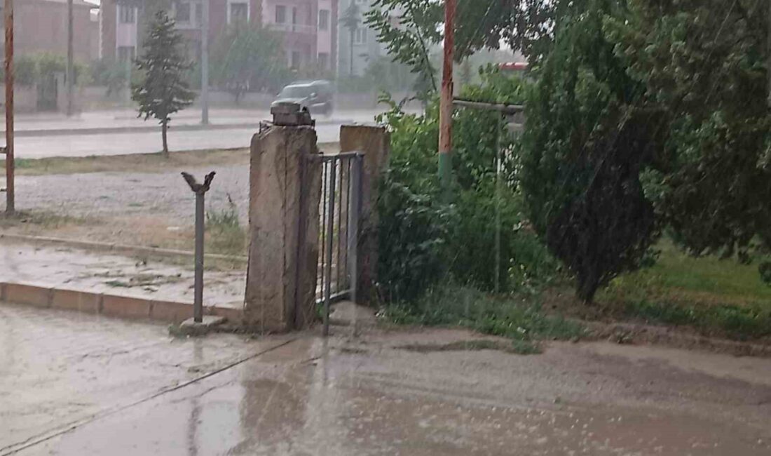 Afyonkarahisar’ın Şuhut ilçesinde aniden bastıran sağanak yağışta, her hangi bir